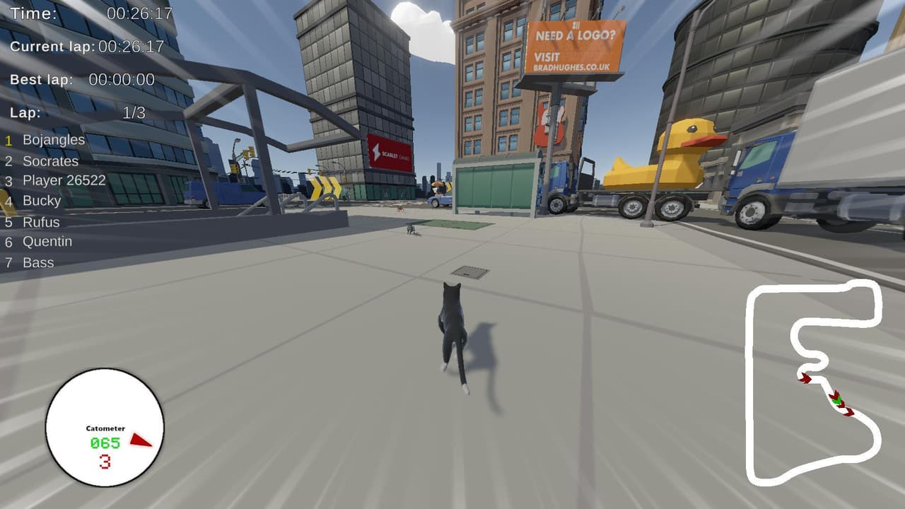 Zoomies! Cat Racing