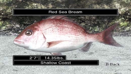 Reel Fishing Ocean Challenge screenshot 3