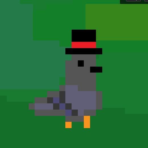 Touch Melbourne - Pigeon Plan