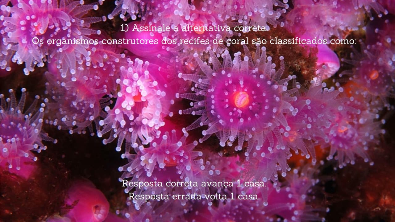 Reef (ADRIANO1932) screenshot 2