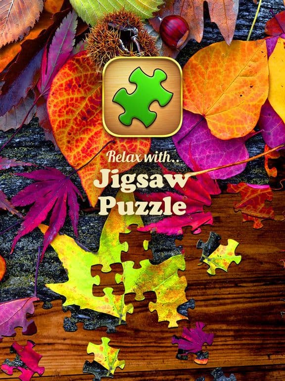 Jigsaw Puzzle Pro