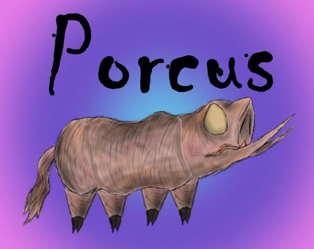 Porcus