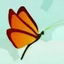 Flutter Team