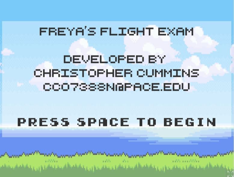 Freyas Flight Exam