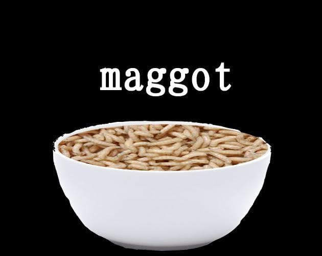 Maggot screenshot 3