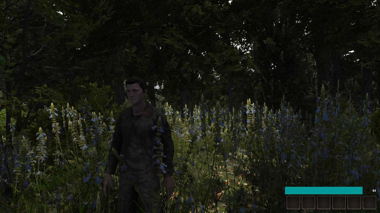 Demesne screenshot 3