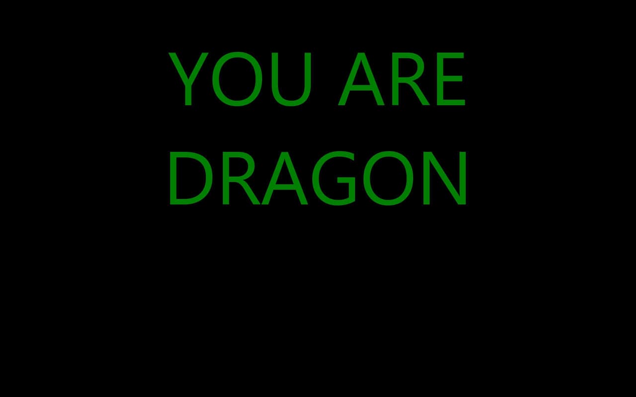 YOU ARE DRAGON screenshot 2