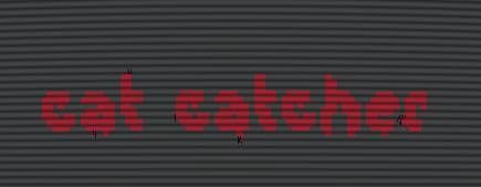 cat catcher (RAGE STUDIOS) screenshot 3
