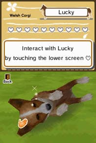 Animal Paradise screenshot 2