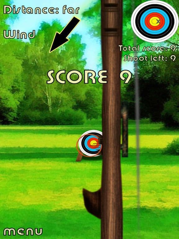 Archer bow shooting