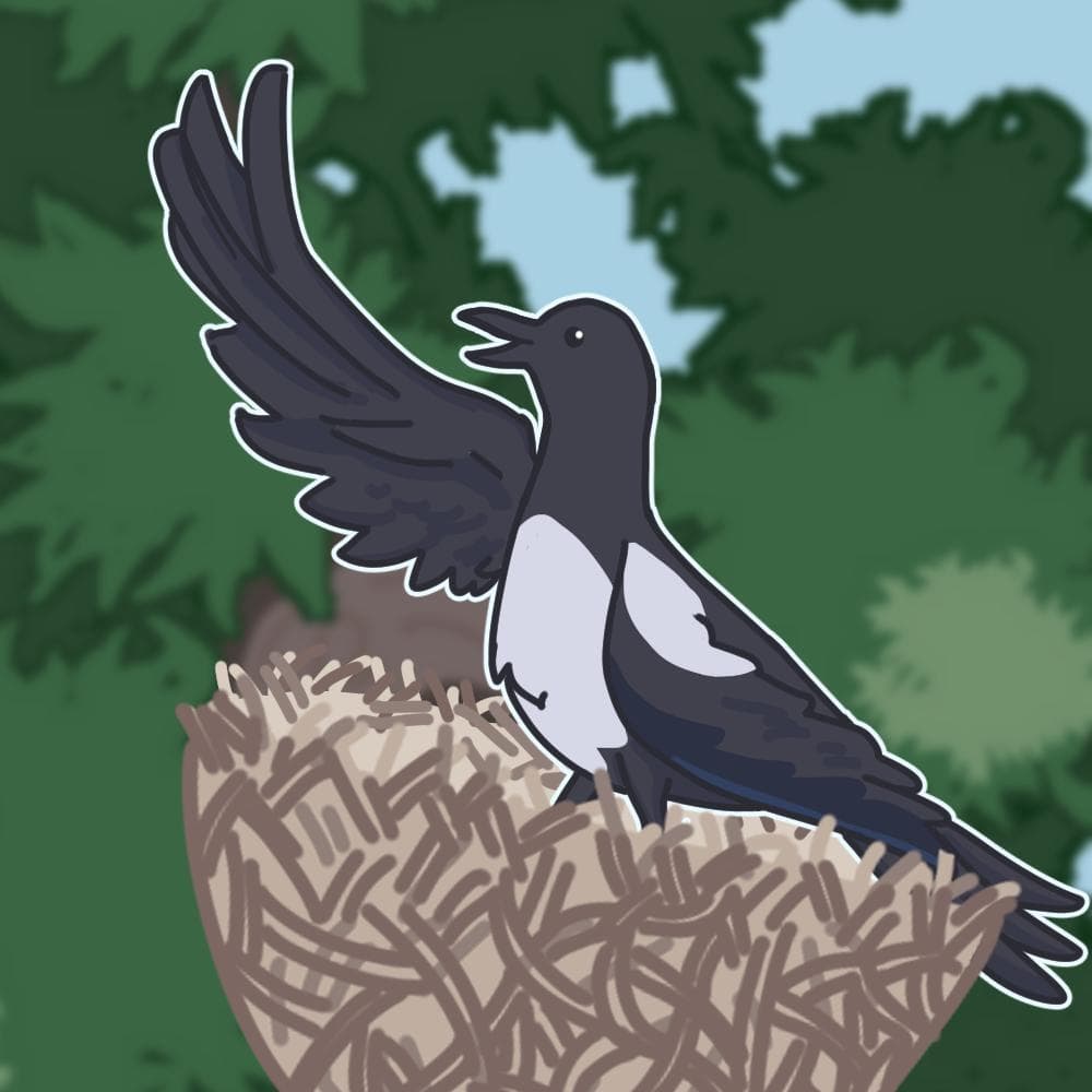 Magpie Magpie