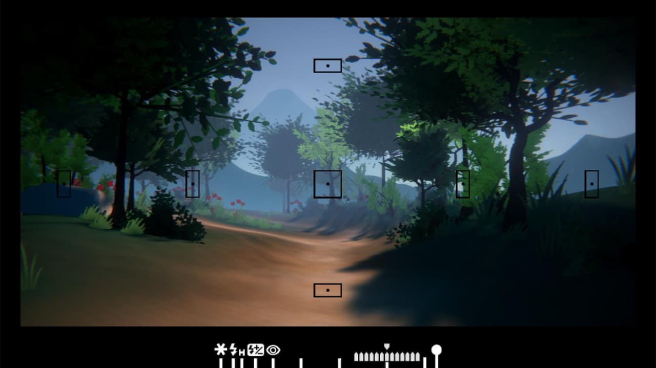 Fox Forest