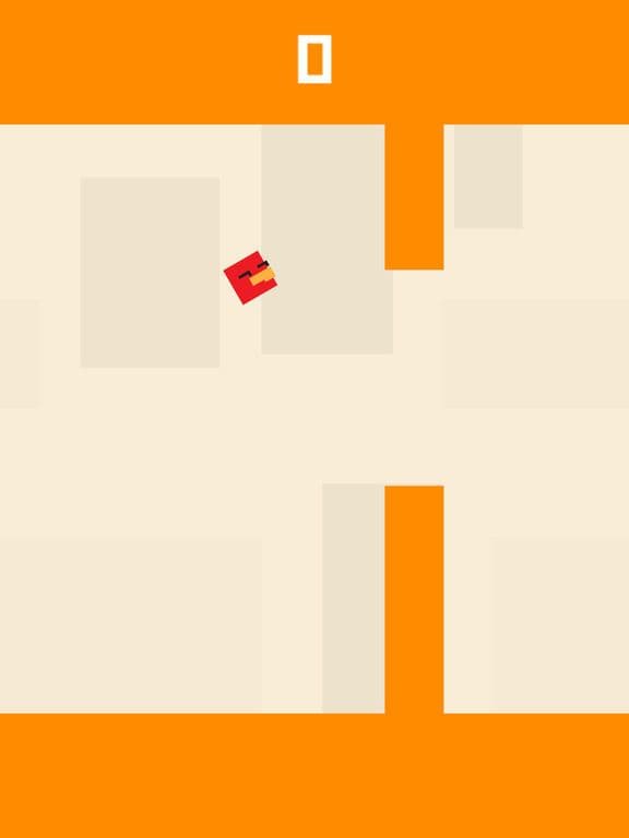 Square Bird Watch Free screenshot 3