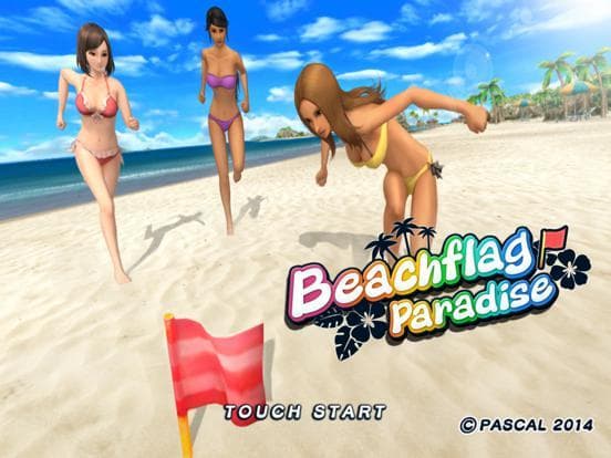 Beach Flag Paradise screenshot 2