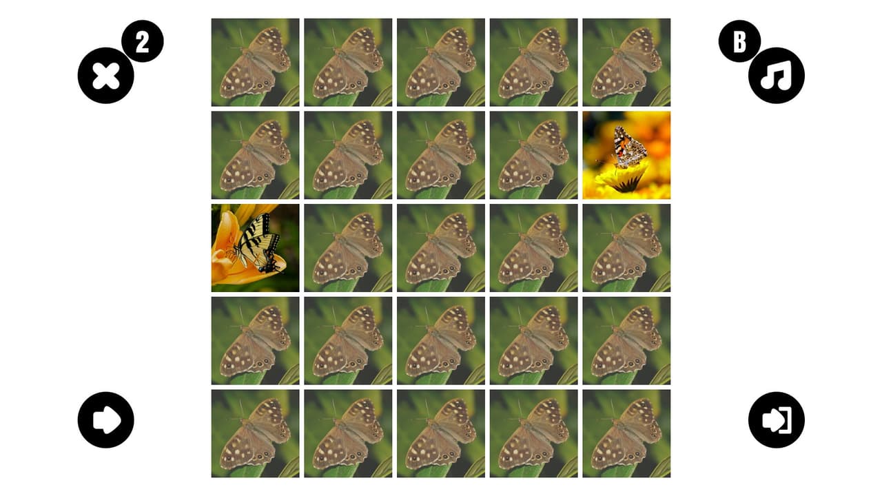 Butterfly couple