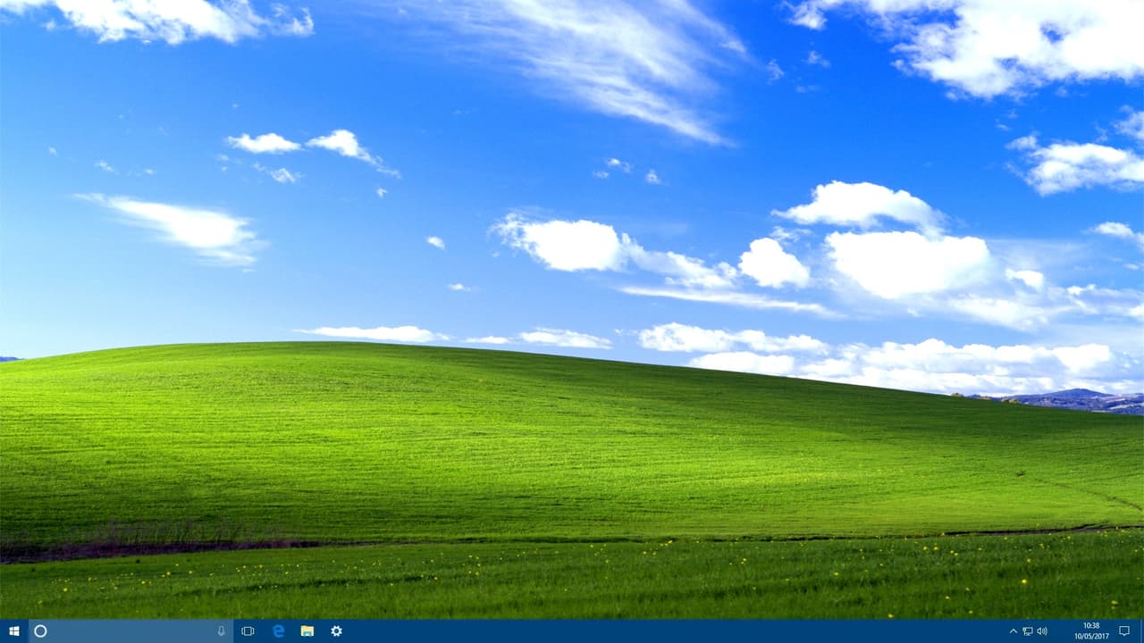 Virtual_creature.exe screenshot 2