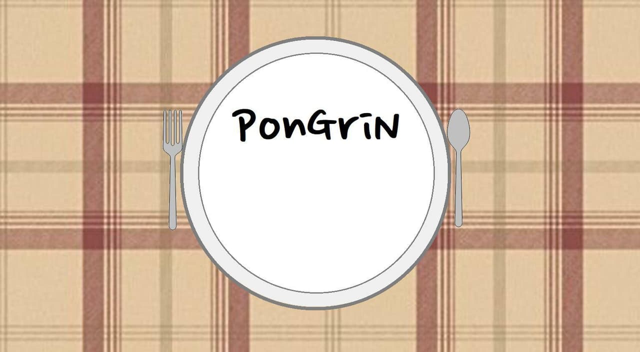 PONGrin