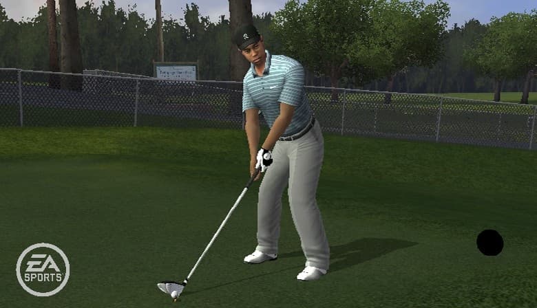 Tiger Woods PGA Tour 10 screenshot 2