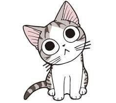 MiauMiau