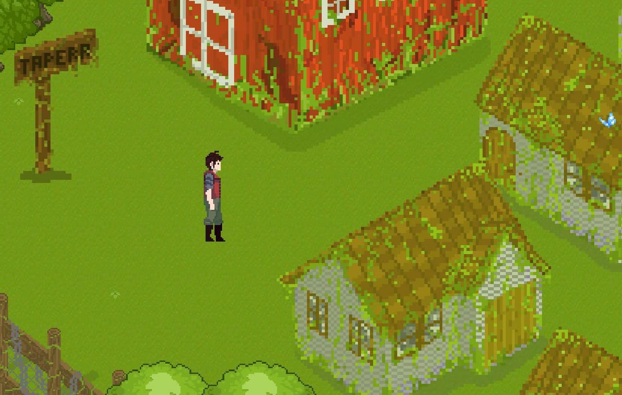 Tapera screenshot 5
