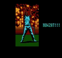 International Cricket
