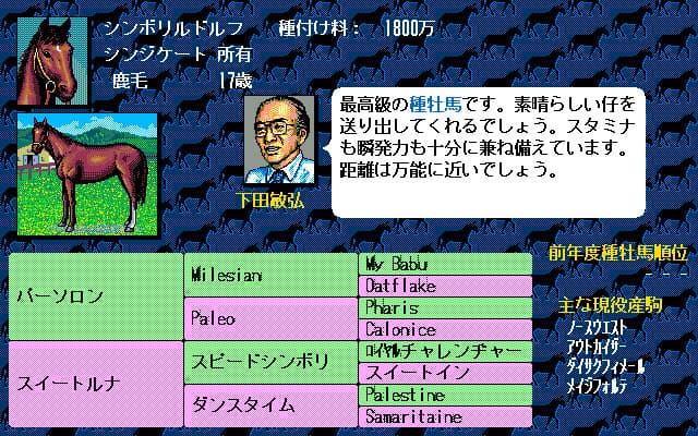 Winning Post screenshot 4