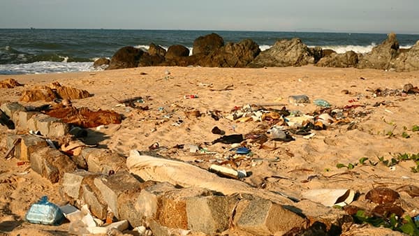 Bring Back The Beach
