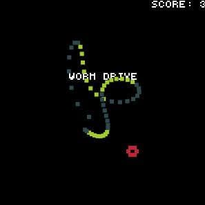Worm Drive