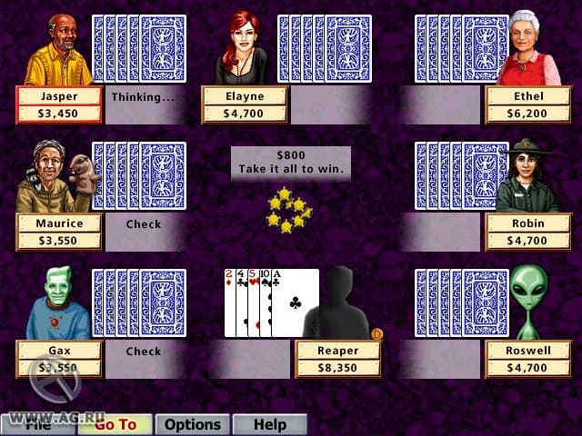 Hoyle Card Games screenshot 5