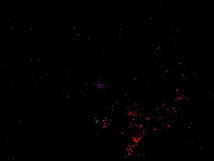 Evol Ether: Evolving Ether Simulation screenshot 3