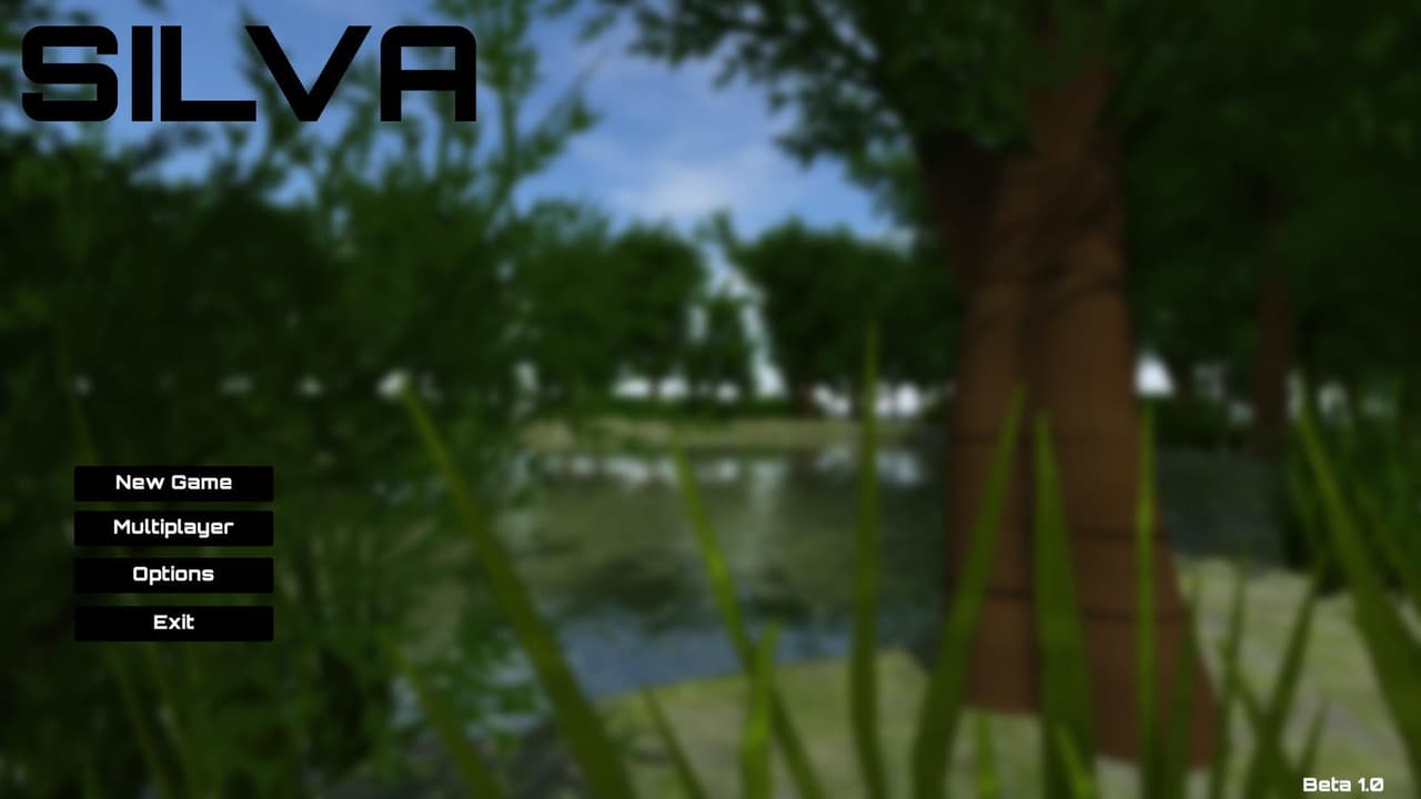 Silva screenshot 2