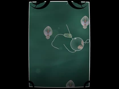 Coil screenshot 3