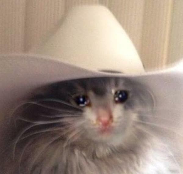 Posse O Pardners