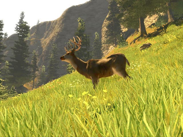 Cabelas Big Game Hunter Trophy Bucks screenshot 3
