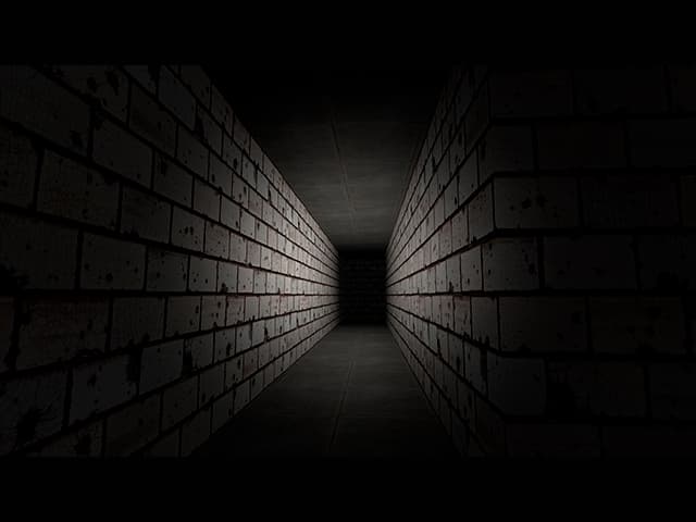 The Long Maze