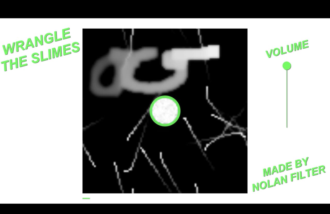 Wrangle The Slimes screenshot 3
