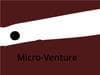 Micro-Venture