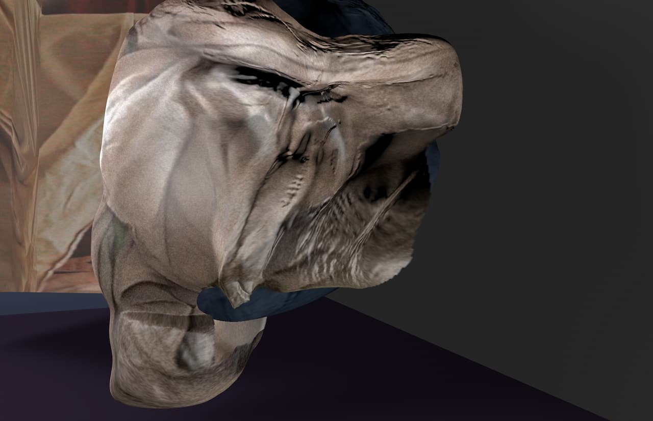 corpus pulveris