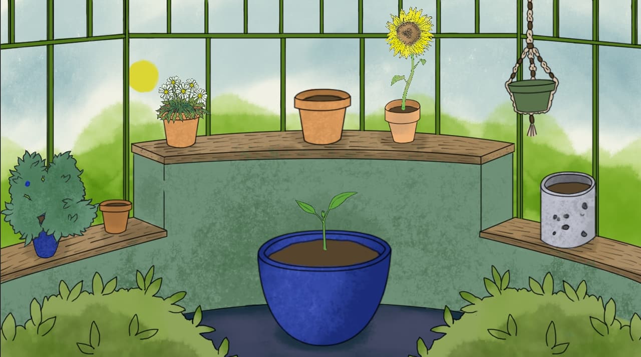 Memento Florum