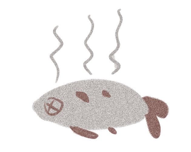 Slamon Slamon