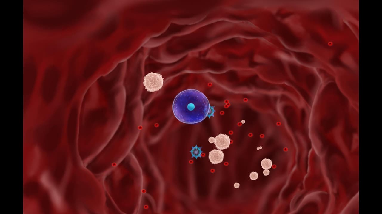Morbus screenshot 3