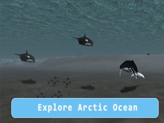 Orca Killer Whale Survival Simulator 3D - Play as orca, big ocean predator!