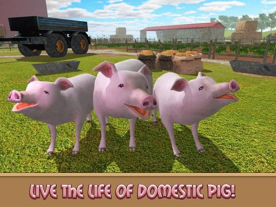 Life of House Pig Simulator screenshot 2