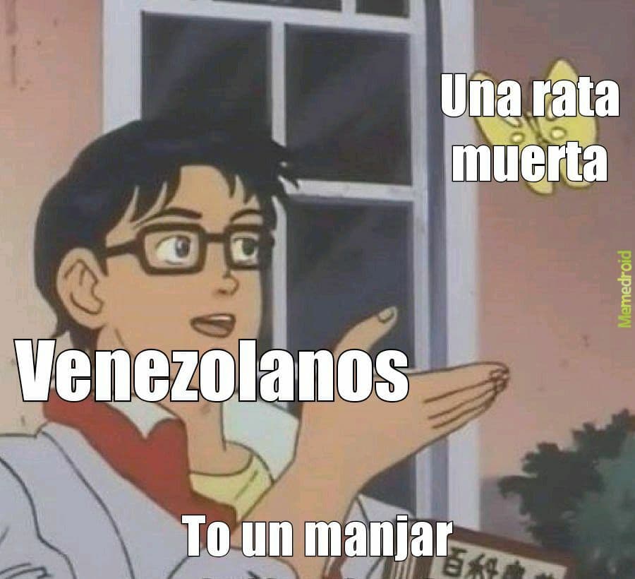 Creador de contenidos