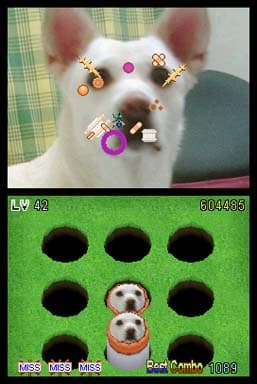 Whack-A-Friend screenshot 5