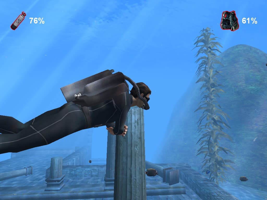 Check Dive