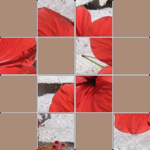 MagicCrocusPro screenshot 5