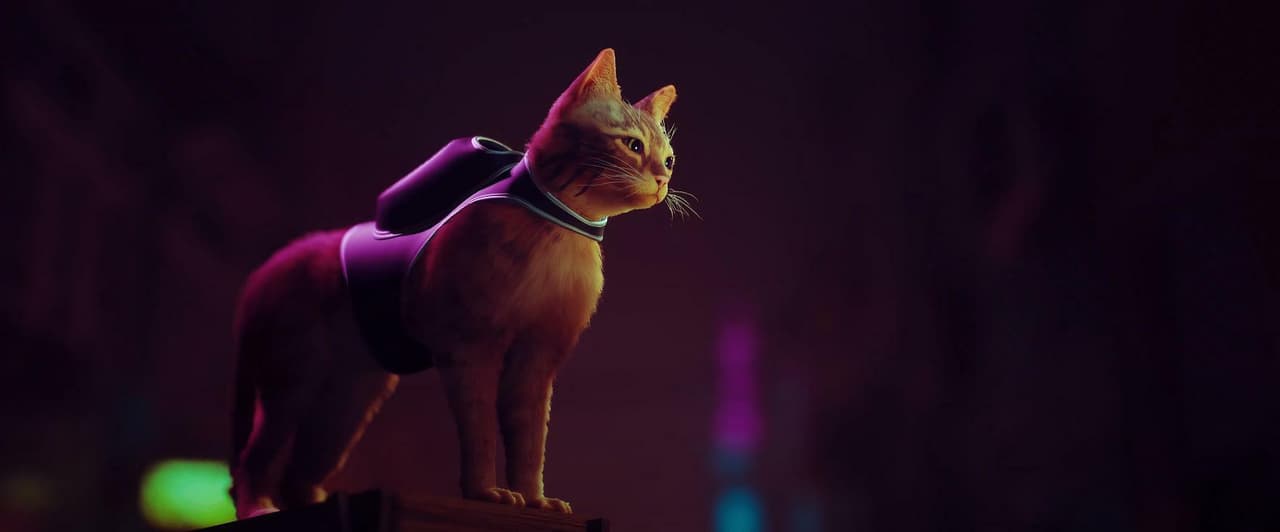 Stray screenshot 2