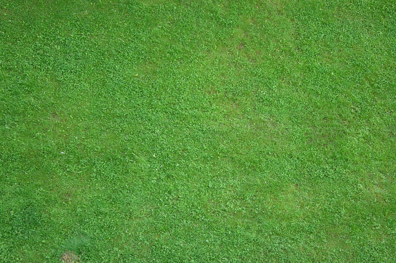 Touch some Grass (itch)