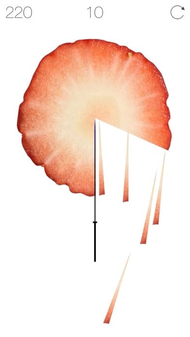 Fruit Bill